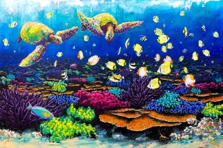Reef Wonder